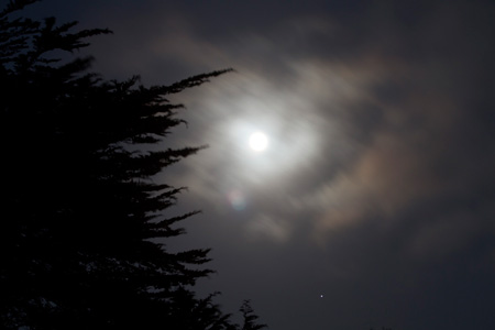 Moon Moon
