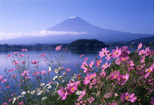 mt-fuji