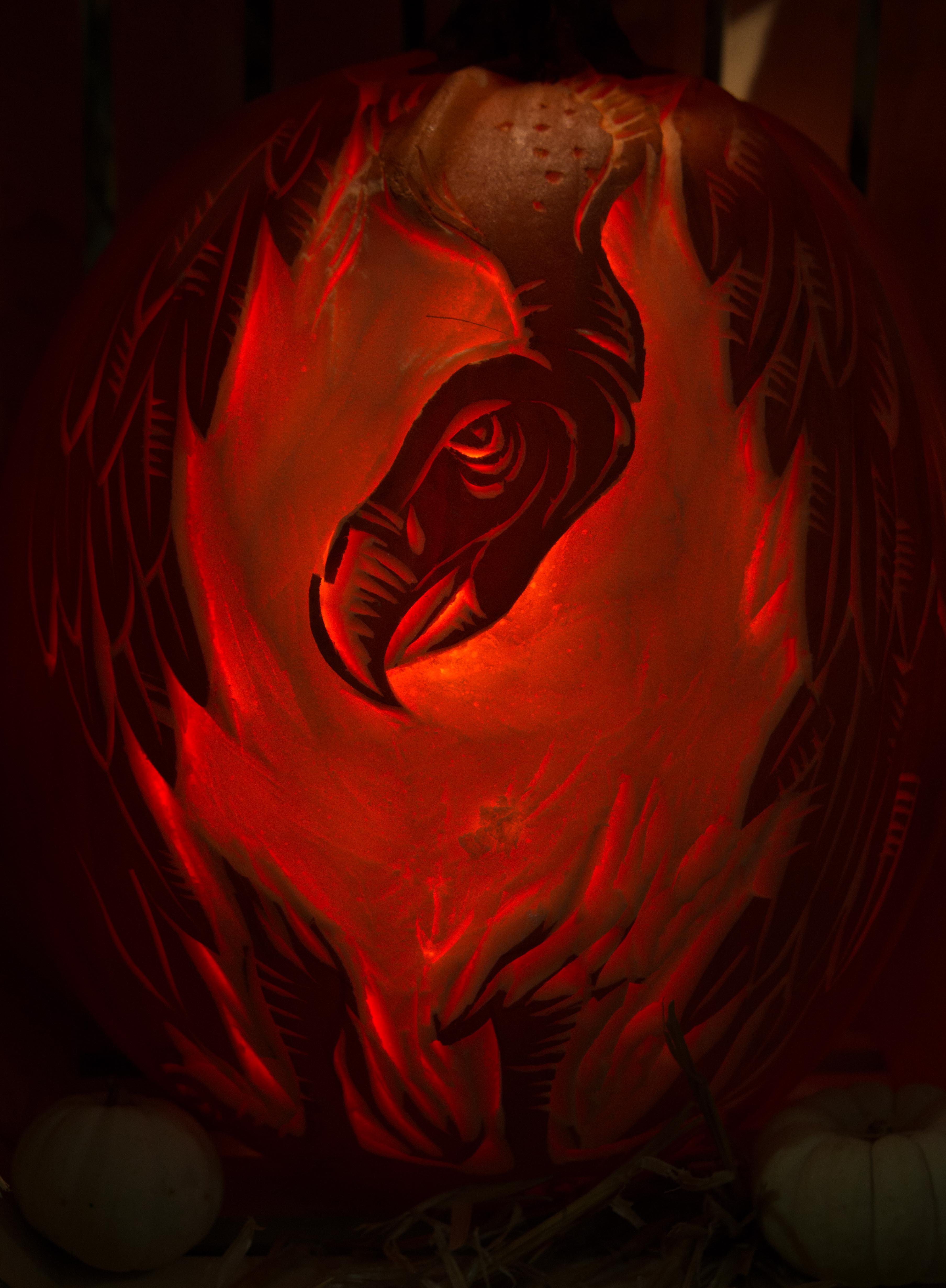 anger(1of1)