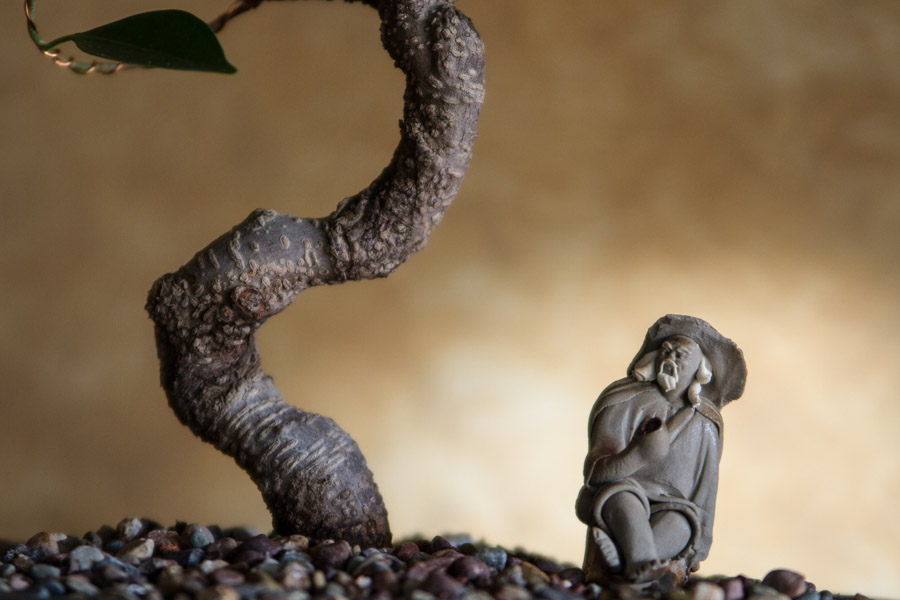 TaoistMaster(1of1)