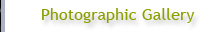 alan briskin photo gallery