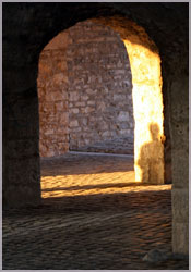 doorway into collective wisdom