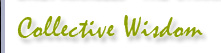 collective wisdom