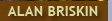 about alan briskin
